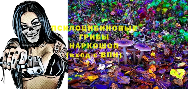 хмурый Алексин