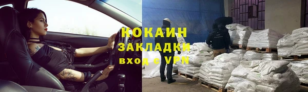 хмурый Алексин