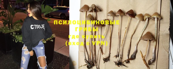 кристаллы Алексеевка